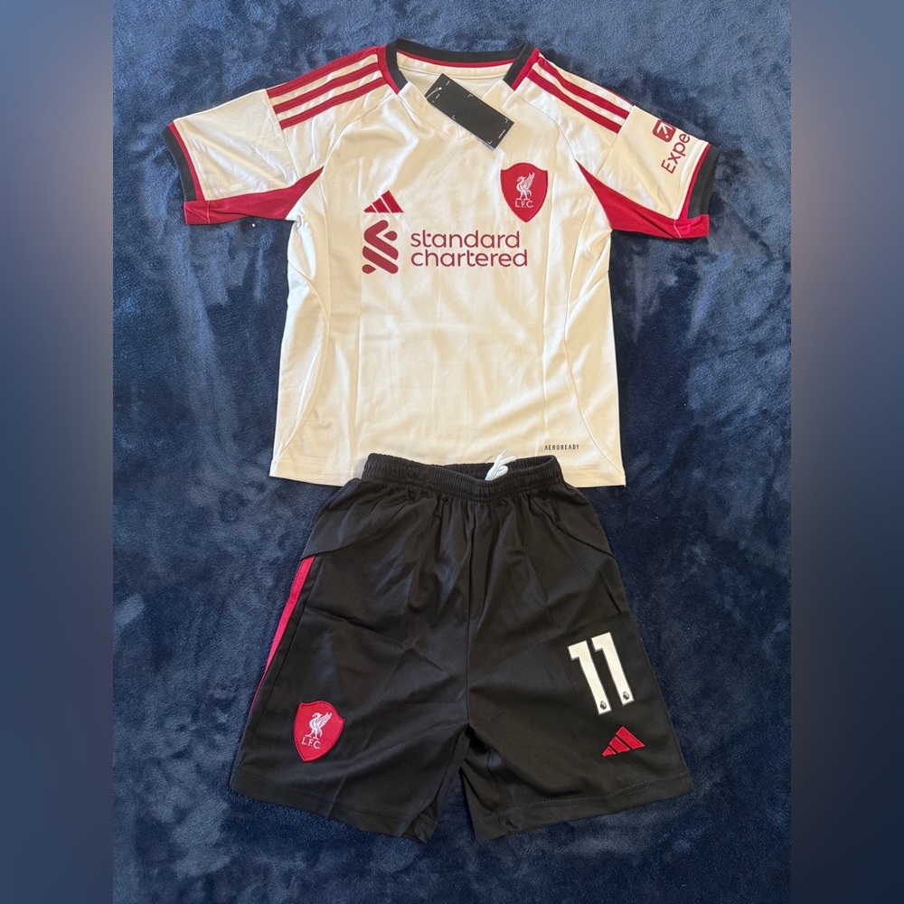 Kids Liverpool FC 2025-26 Away Soccer Jersey M. Salah -  kids Size available